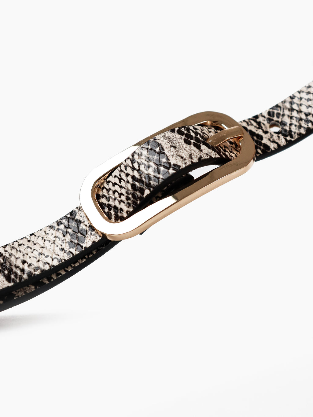 Gigi Thin Belt - Snakeskin