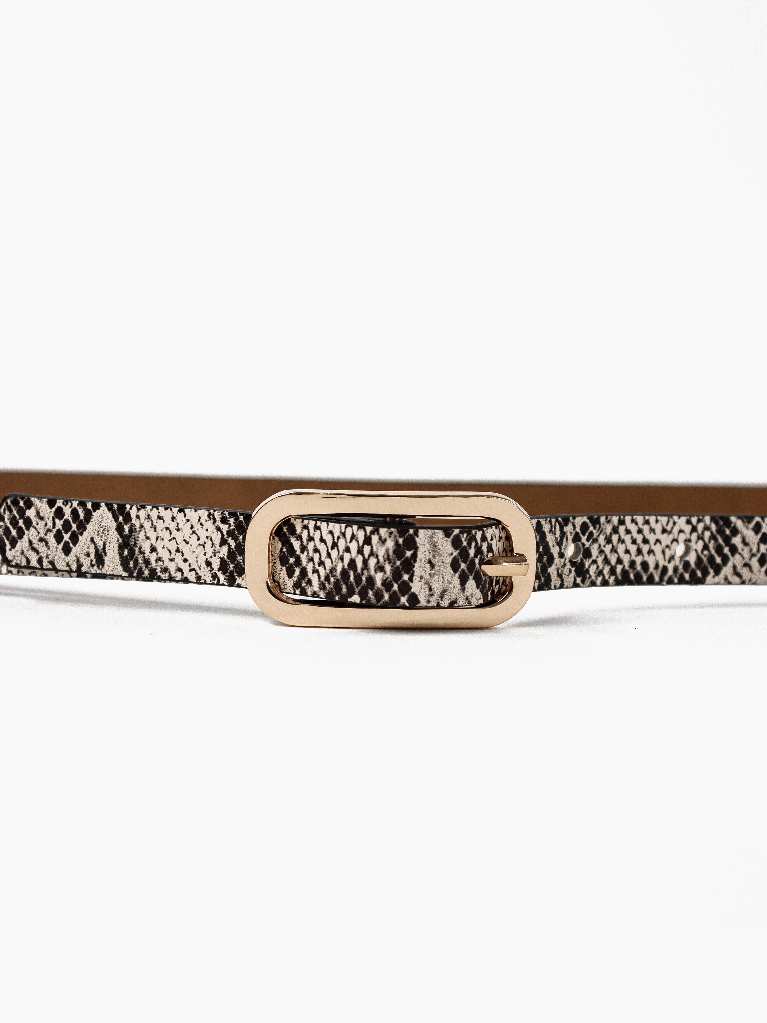 Gigi Thin Belt - Snakeskin